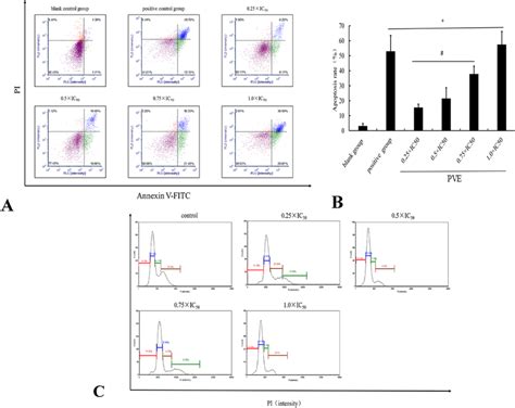 Apoptosis And Cell Cycle Of PVE And GLC By Cell Flow Cytometry