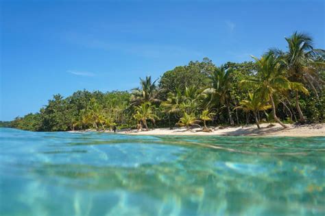 Beach And Tropical Vegetation Stock Photo Image Of Caribbean Coast