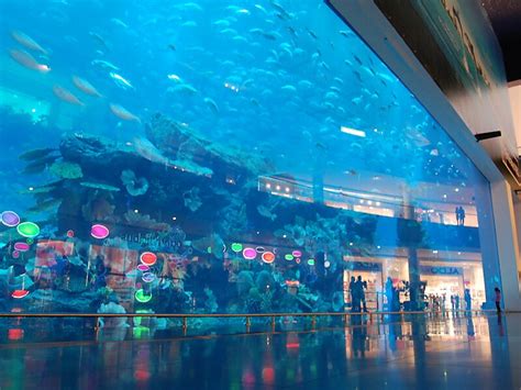 Dubai Aquarium & Underwater Zoo in Dubai, UAE | Sygic Travel