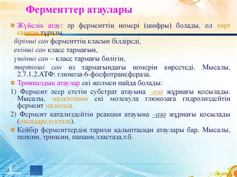 Ферменттер. Ферменттердің құрылымы. Биохимиялық маңызы - презентация онлайн
