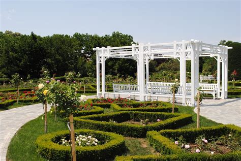 Timișoara Roses Park – MyRomaniaGuide