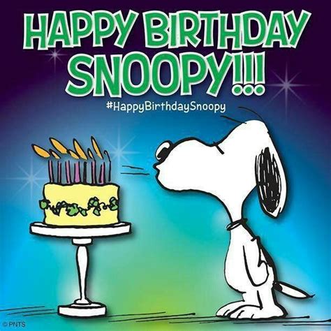 Pin By Michaela Lindberg On Peanuts Snoopy Birthday Snoopy Snoopy Love