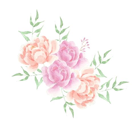 Arranjo De Flores Em Aquarela Rosa Vintage Suave Png Decora O