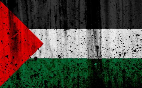 Palestine Flag Wallpapers - Top Free Palestine Flag Backgrounds - WallpaperAccess