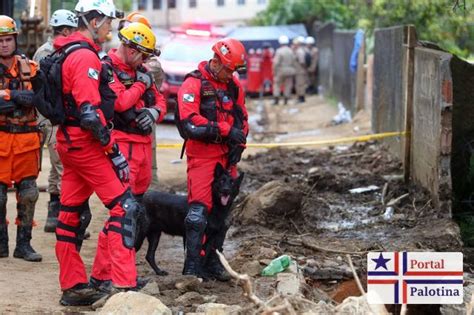 Paraná manda mais sete bombeiros e três cães para ajudar o Rio Grande