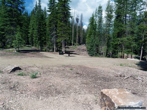 Hahns Peak Lake Campground Thick Forest Around Campsite Camp Out Colorado