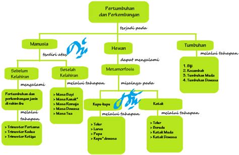 Pengenalan Konsep Pertumbuhan Dan Perkembangan Pada Makhluk Hidup Umum