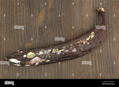 Rotten Banana Isolated On White Stock Photo Alamy
