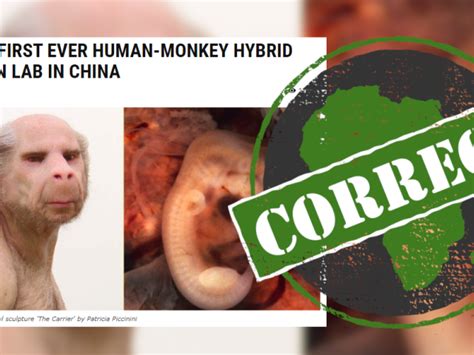 Monkey Hybrid Animals