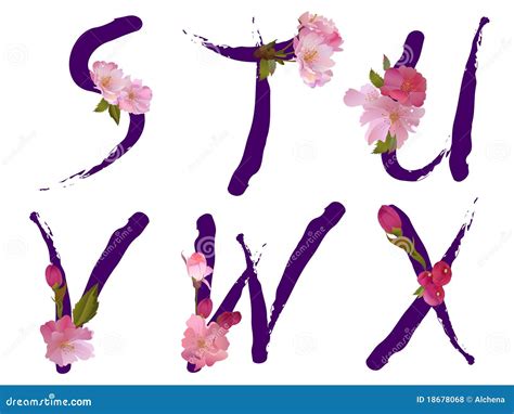 Spring Alphabet With Flowers Letters Stuvwx Royalty Free Stock