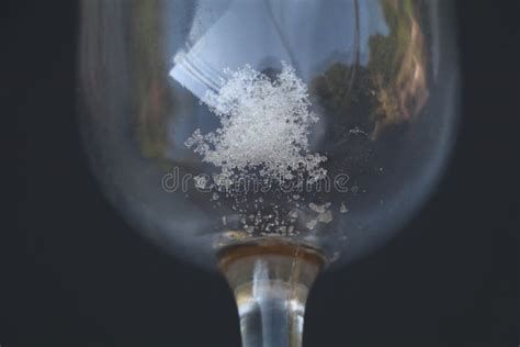 Dried Up Tartrate Crystals On The Bottom Of An Empty Wine Glass Stock Image Image Of Bottom