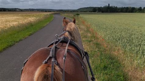 Balade En Cal Che Dans Les Vignes Office De Tourisme De Vend Me