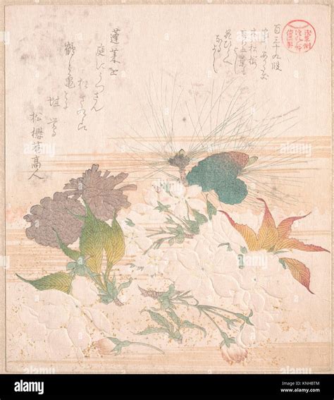 Cherry Blossoms And Pine Cones Artist Kubo Shunman Japanese 1757