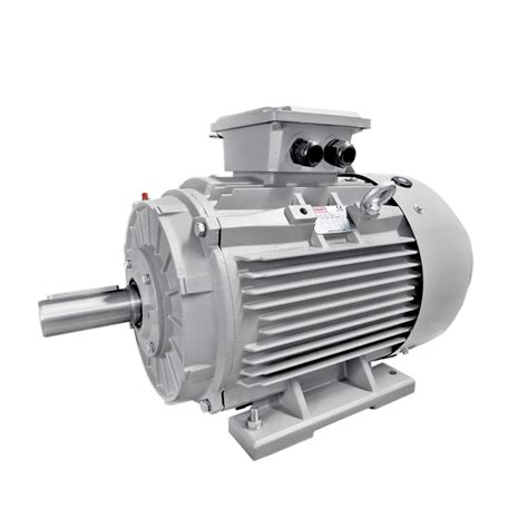 Super Premium Ie Three Phase Cast Iron Frame Iec Electric Motors