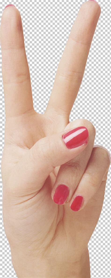 Hand Upper Limb Finger Png Clipart Arm Finger Fingerprint Forearm