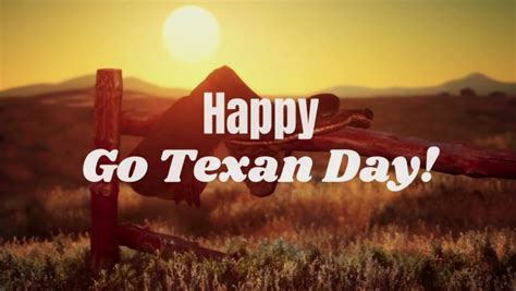 Professional Alternatives on LinkedIn: Happy Go Texan Day!