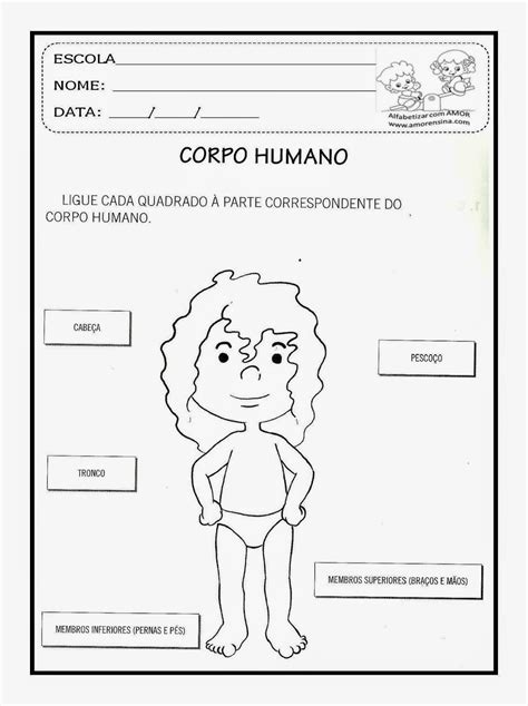 Fichas Del Cuerpo Humano Corpo Humano Partes Do Corpo Humano PDMREA