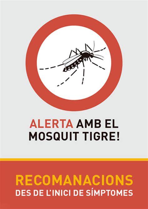 barcelona 010 on Twitter La picada d aquests mosquits no només és