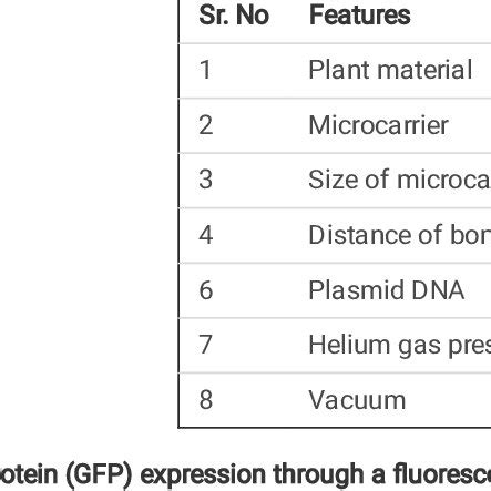 The parameters used for gene gun-mediated transformation | Download ...