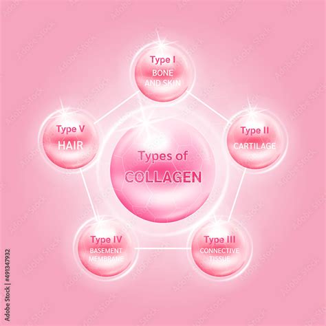 Type of collagen. The five most common types of collagen protein. Main protein created ...