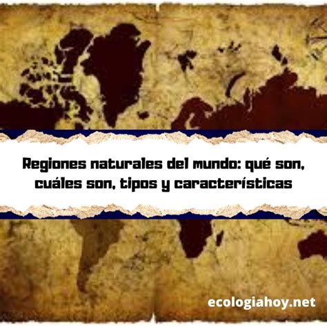 Regiones Naturales Del Mundo Qué Son Cuáles Son Tipos Y