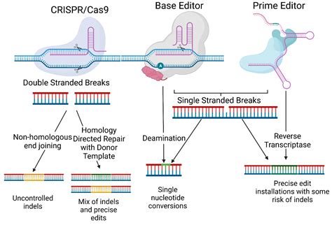 Ijms Free Full Text Challenges Of Gene Editing Therapies For