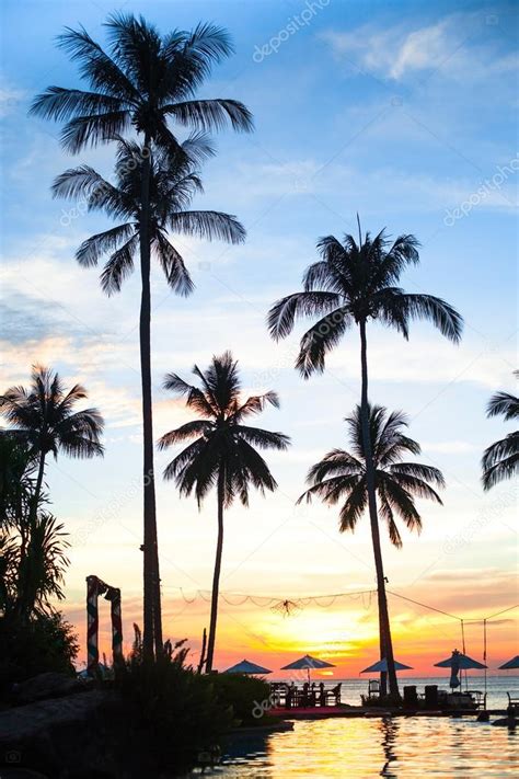 Sunset at a beach resort in the tropics — Stock Photo © dimaberkut #23061208