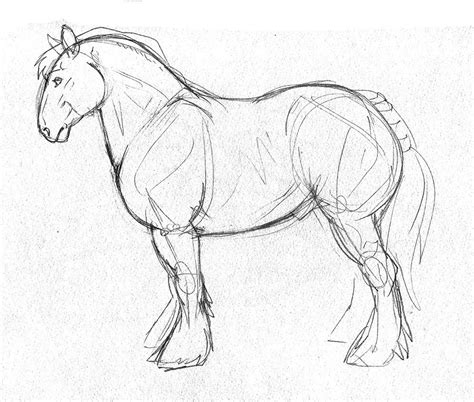 Draft Horse Lineart Horse Sketch Transparent Background PNG, 41% OFF