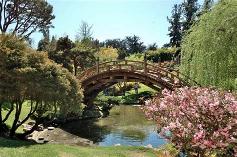 16 Gorgeous Los Angeles Botanical Gardens You Definitely Need to Visit ...