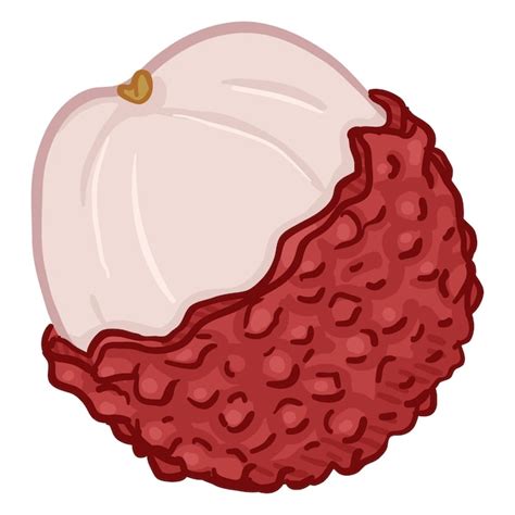 Premium Vector Vector Cartoon Lychee Fruit