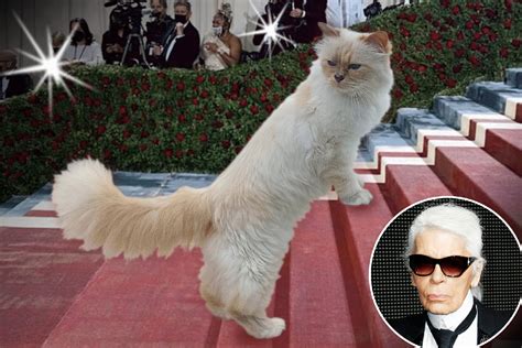 Karl Lagerfeld’s Cat Choupette Featured in Vogue; Invited to the Met ...