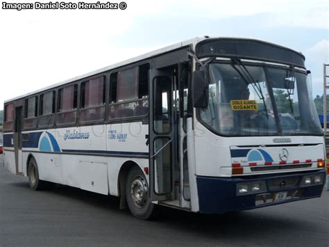 A Todo Bus Chile Desde 2009 La Biblioteca Busóloga de Chile