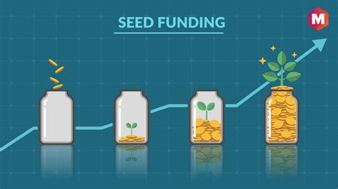 Seed Funding Meaning Process And 7 Steps Marketing91