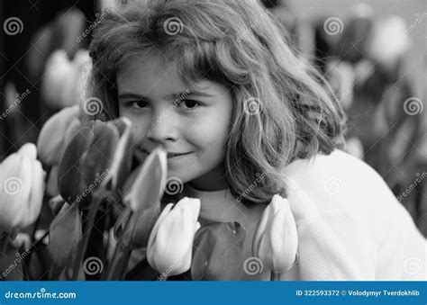 Child In Tulip Flower Field In Holland Kid In Tulips Fields In The