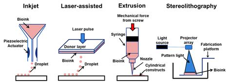 What Are The Types Of D Bioprinting Technologies Facellitate