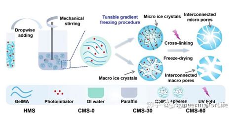 水凝胶微球制备有哪些打开方式？ 知乎