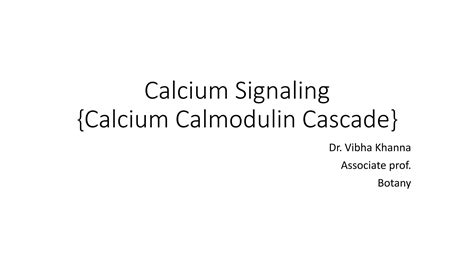 Signal Transduction Calcium Signaling Ppt