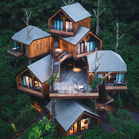 Luxury Destinations And Skylines On Instagram “forest Tree House China Architect Architecture