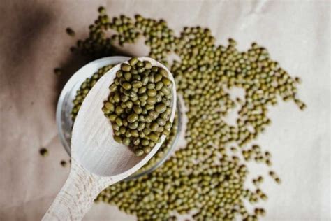 12 Fakta Menarik Kacang Hijau Tinggi Protein