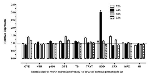 Relative Quantification By Rt Qpcr Of Mrna Expression Levels Of Ten