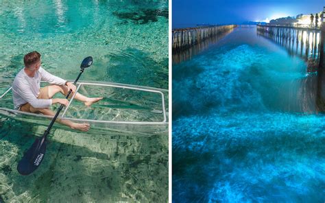 Go On A Bioluminescent Water Tour In A See Through Kayak In Florida