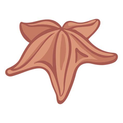 Hand Drawn Starfish Color Png And Svg Design For T Shirts