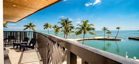 5 Best Pet-Friendly Hotels In Islamorada, Florida - Updated 2024 | Trip101