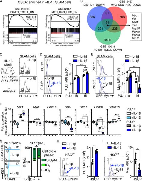 Il Induced Gene Repression Is Associated With High Pu Levels A