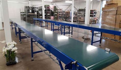 Flat Belt Conveyor Capacity Kg Feet Load Capacity Kg At Rs