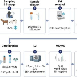 LC MS MS Workflow For Absolute Quantification Of Seven Oligosaccharides