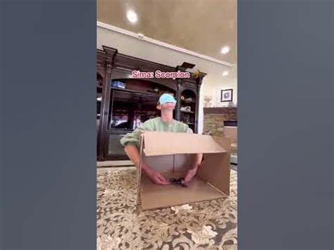 What’s in the box prank 😂🐍 - YouTube