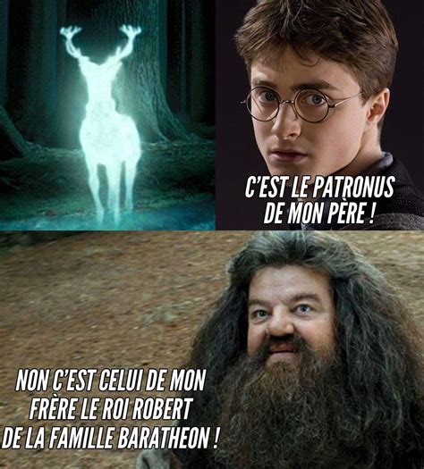 Pingl Par Cassandre Sur Harry Potter Humour Blague