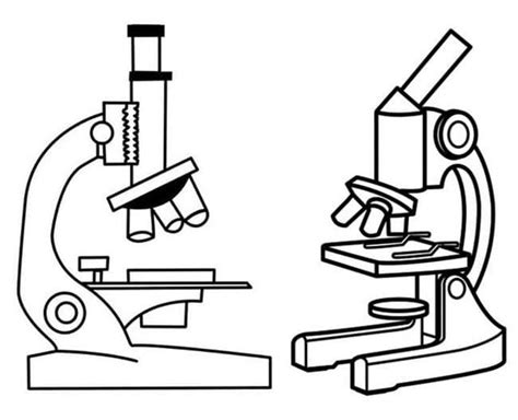 Dibujos De Un Microscopio Para Colorear Para Colorear Pintar E