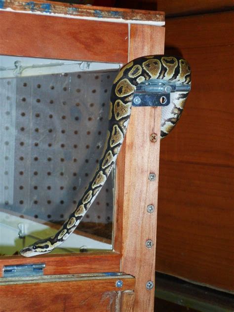 Custom Reptile Cage : 7 Steps - Instructables